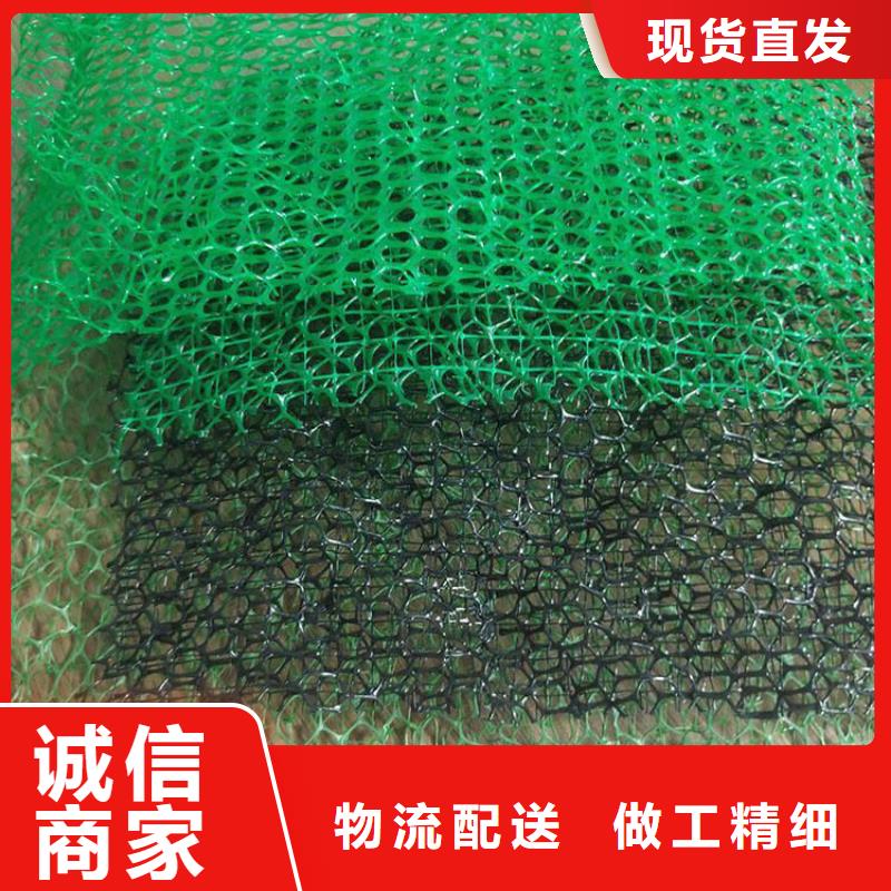 三维植被网,植草格诚信商家不断创新