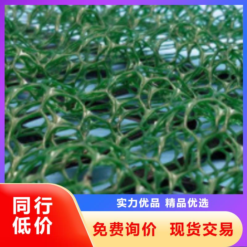 三维植被网水泥化粪池厂家现货供应用心制造