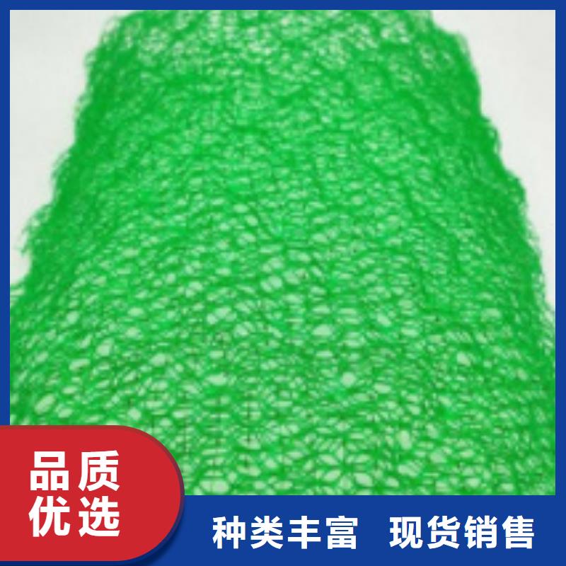 三维植被网,车库虹吸排水系统材质实在当地生产商