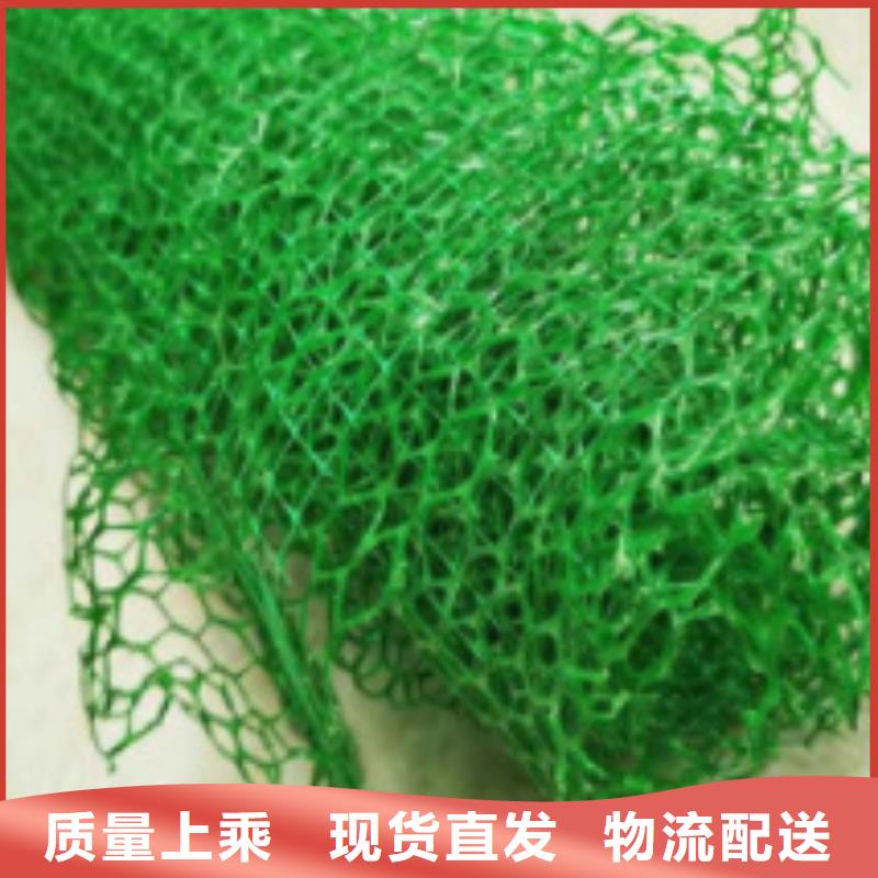 三维植被网_防护虹吸排水收集系统就近发货细节之处更加用心