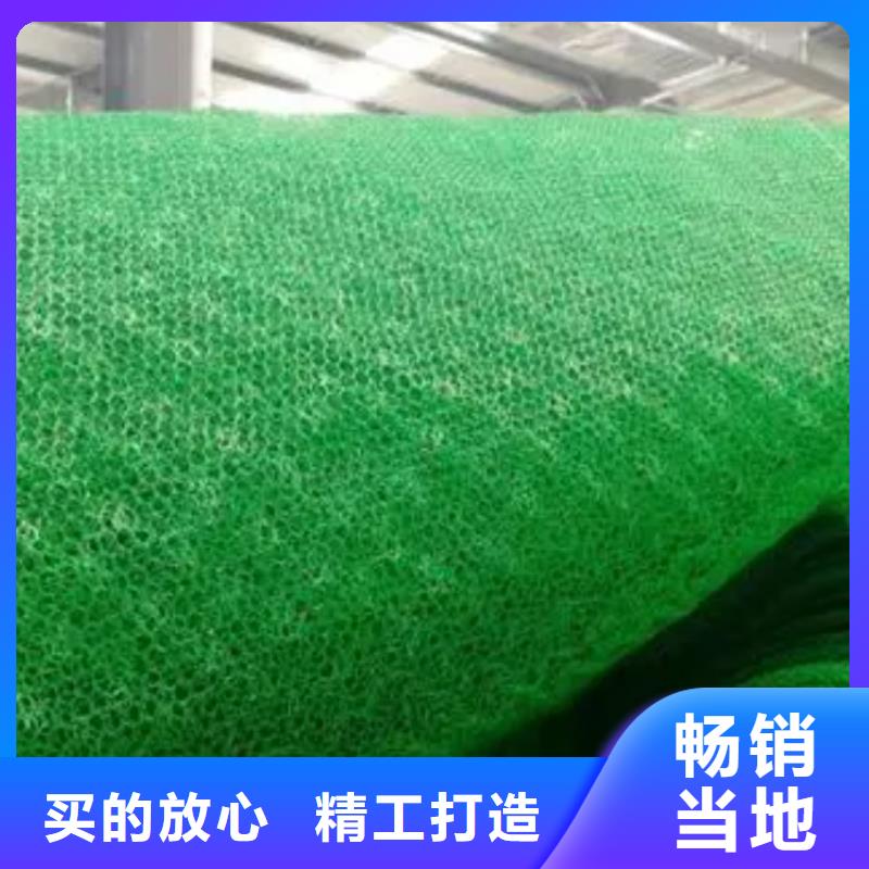 三维植被网水泥化粪池源厂直销同城供应商
