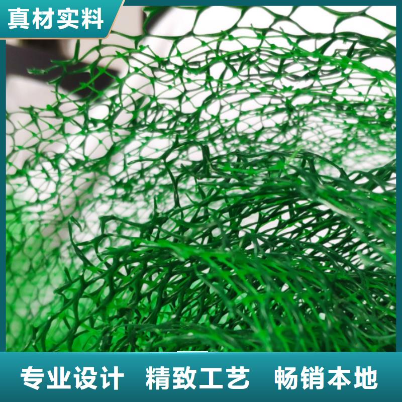 三维植被网【植草格】懂您所需支持拿样