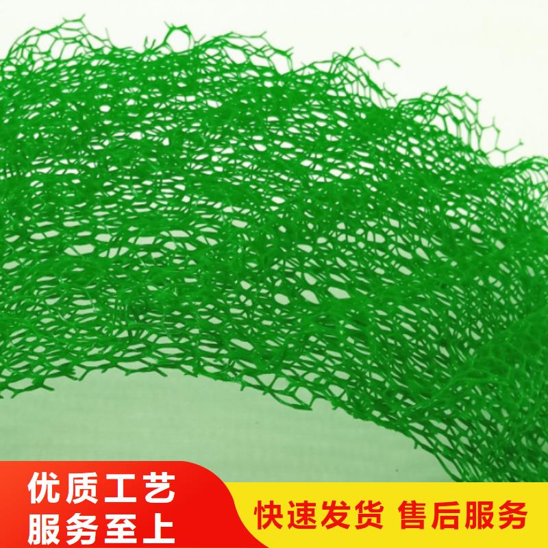【三维植被网】,防护虹吸排水收集系统服务周到优良工艺