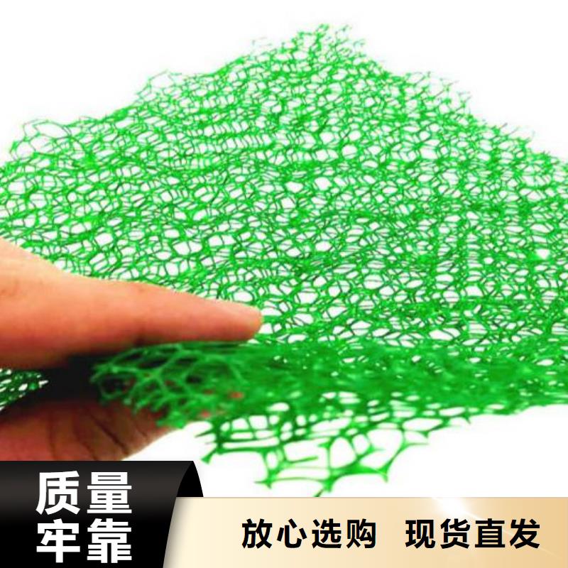 三维植被网-【植草格】厂家批发价保障产品质量