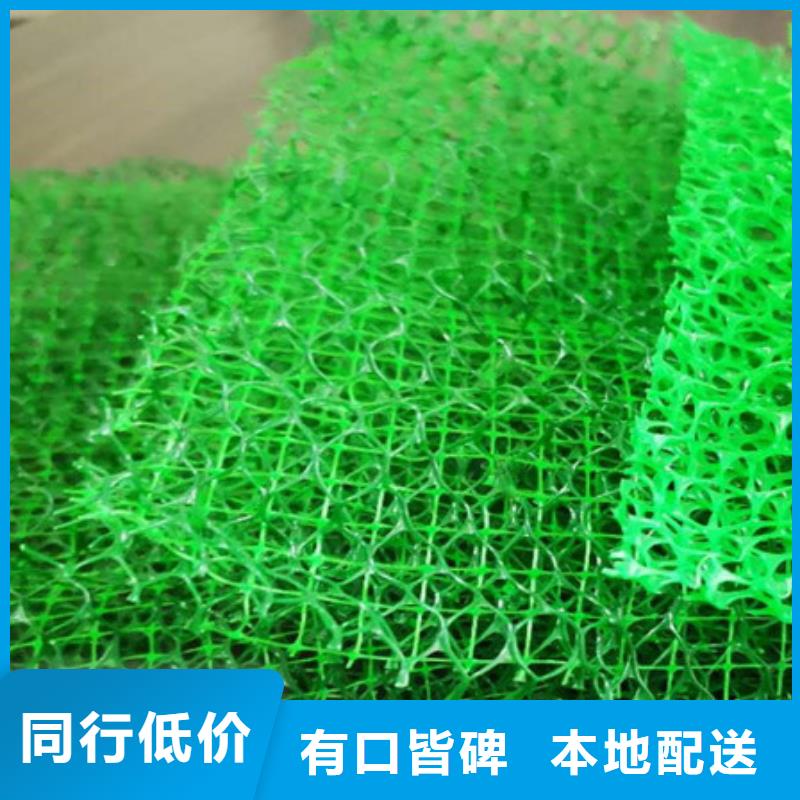 三维植被网化粪池水泥工艺精细质保长久同城供应商