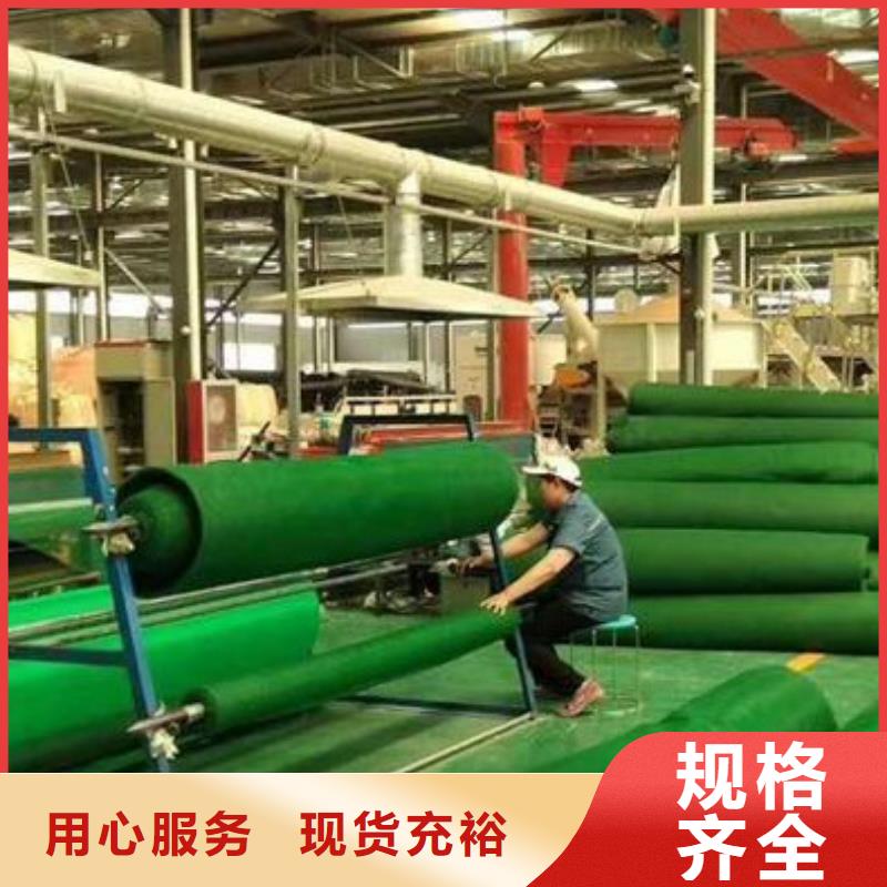 三维植被网植草格专注生产N年厂家工艺先进