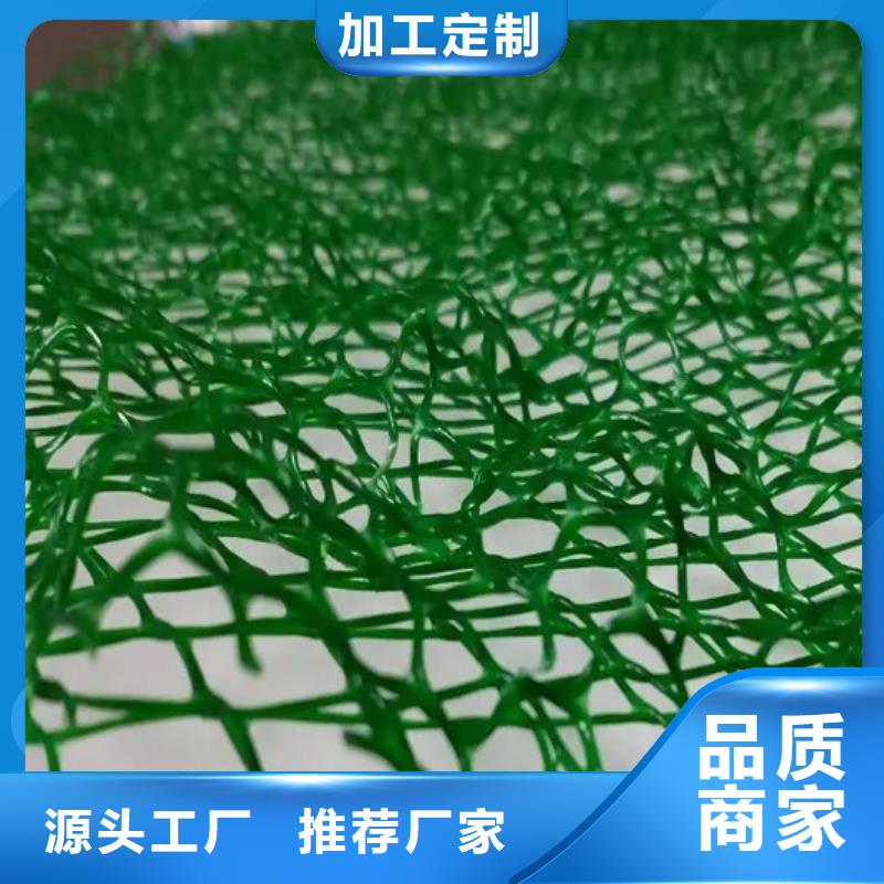 三维植被网防护虹吸排水收集系统多年经验值得信赖根据要求定制