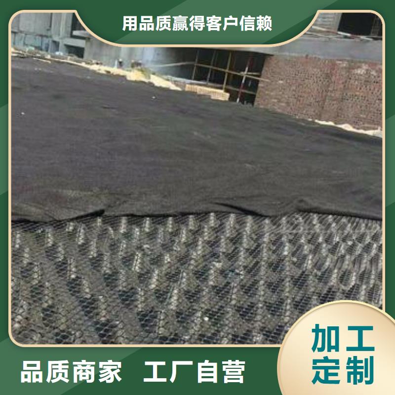 排水板土工格栅认准大品牌厂家质检合格发货
