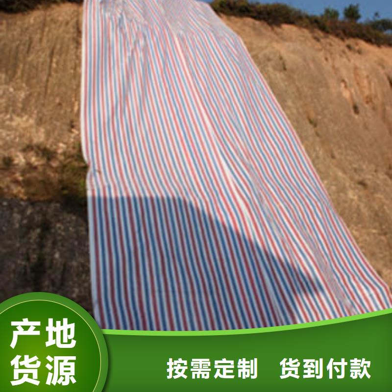 彩条布_PE加厚篷布甄选好物专业供货品质管控