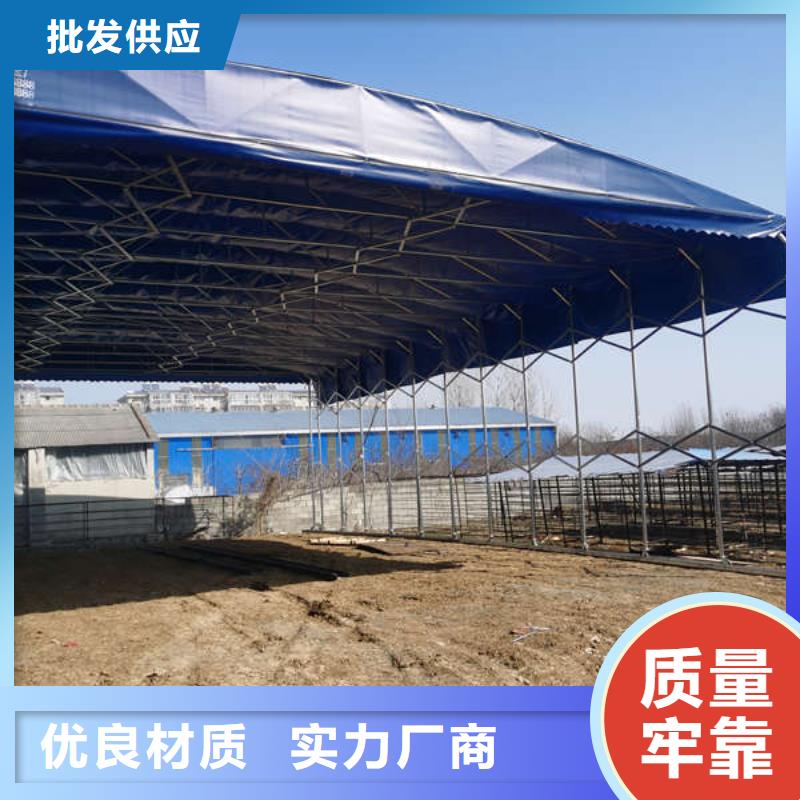雨棚电动推拉篷值得买本地服务商