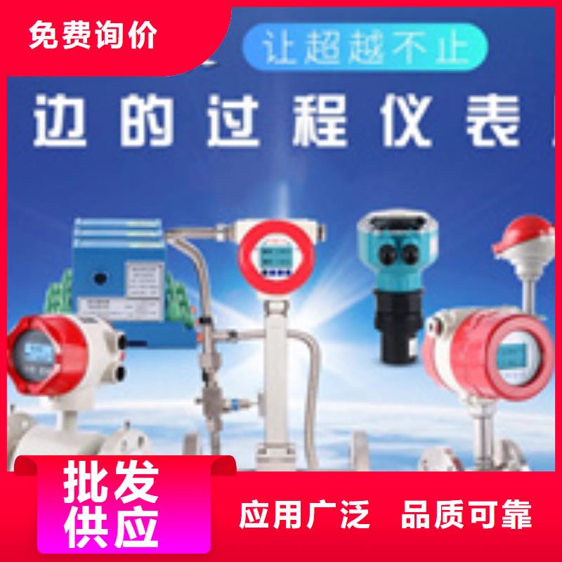 【热电偶流量仪表厂家严格把控质量】批发价格