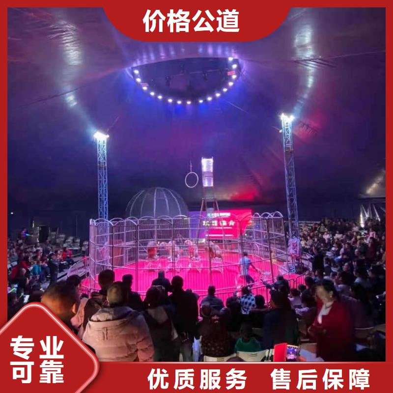 马戏团/羊驼-出租马戏团表演品质好本地制造商