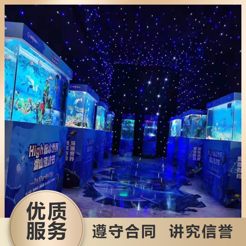 【海洋主题动物表演】,海豚表演正规团队同城生产厂家