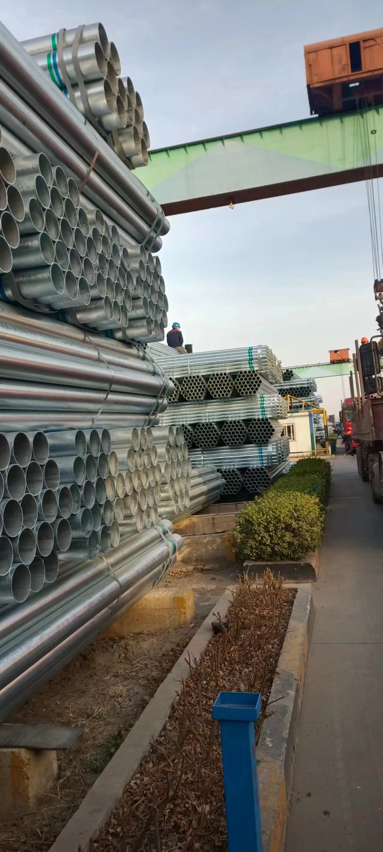 天津君诚镀锌管厂家价格质量好