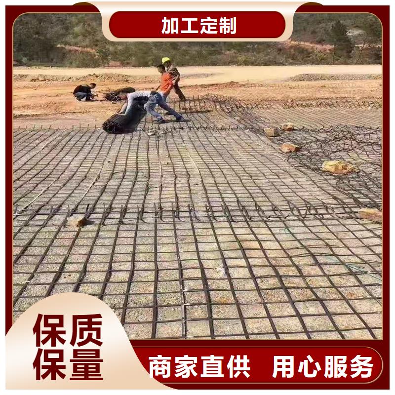 土工格栅细节决定成败现货齐全售后无忧