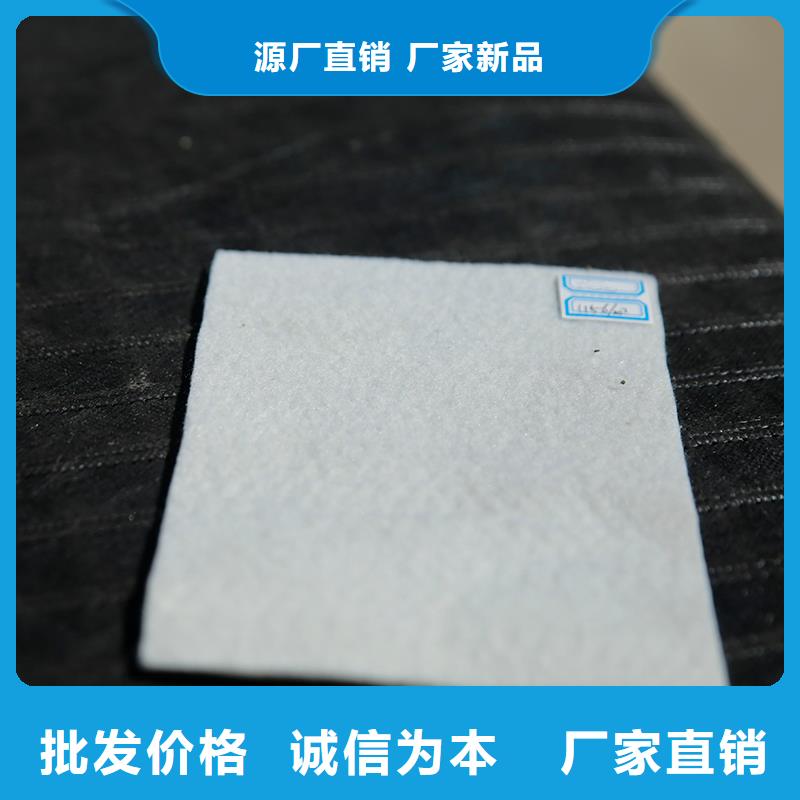 土工布_钢塑土工格栅优势同城生产厂家