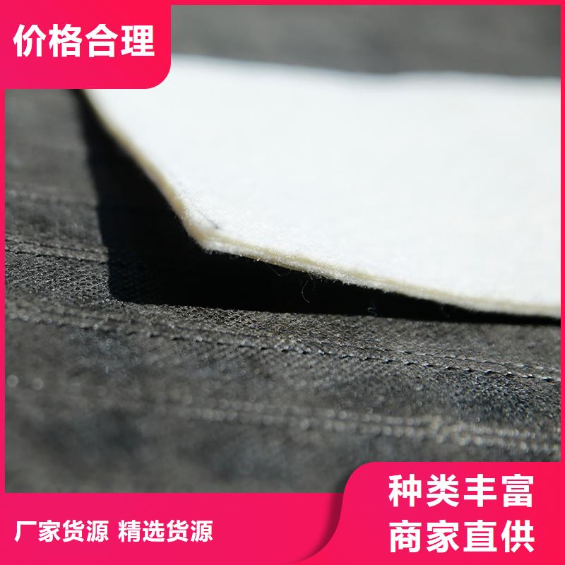 土工布双向塑料土工格栅厂诚信经营多年厂家可靠