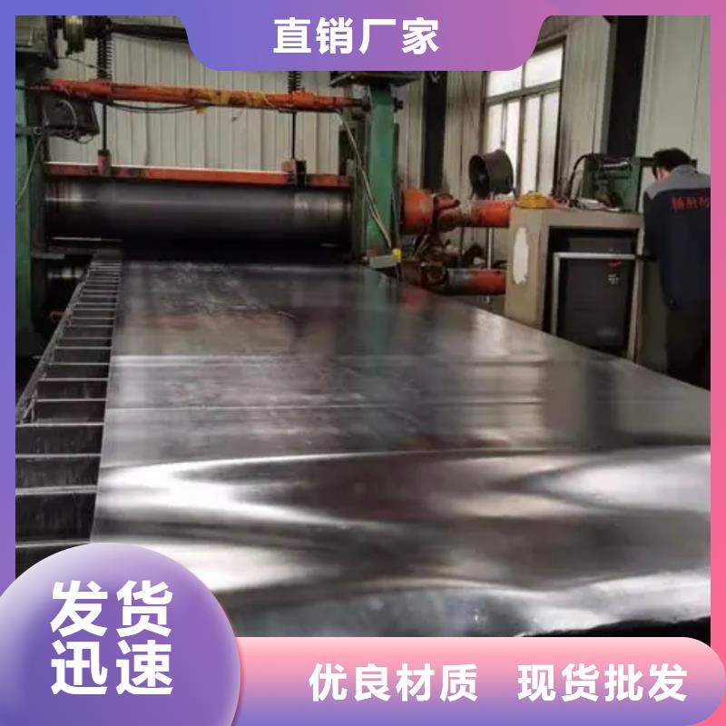 铅板_铅门厂家价格实惠当地公司