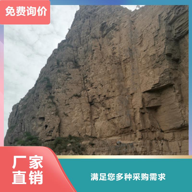 大型静音发电机租赁进口品牌厂家直发