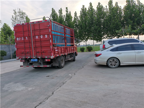 【柴油发电机100kw发电机租赁产地厂家直销】实时报价