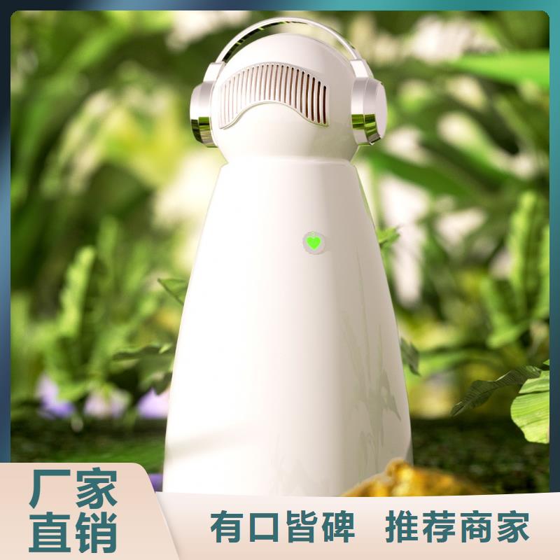 小白祛味王批发空气消毒机现货齐全售后无忧满足多种行业需求