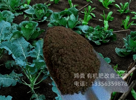稻壳鸡粪能水果品质同城服务商
