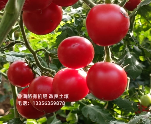 稻壳鸡粪让花枝粗壮好产品放心购