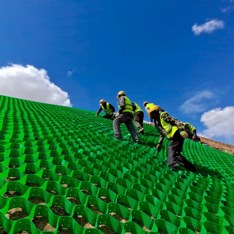 土工格室六边形蜂巢土工格室安心购