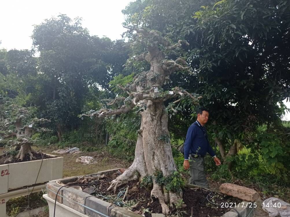 土壤固化剂好货直销