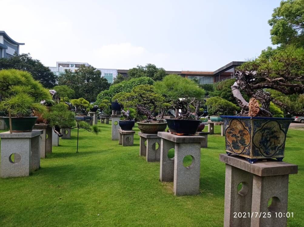 彩色防滑路面昌江县沙土固化剂生产基地