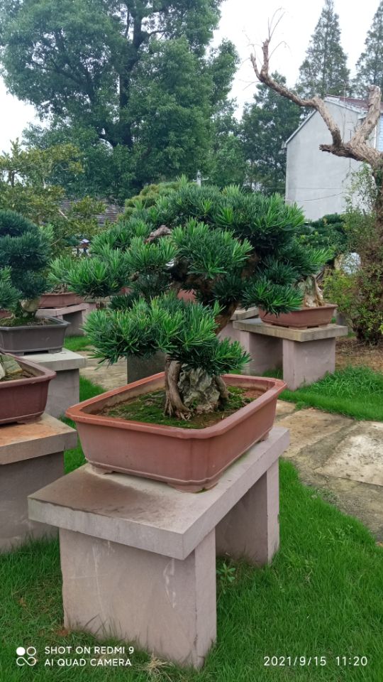 土壤固化剂好货直销