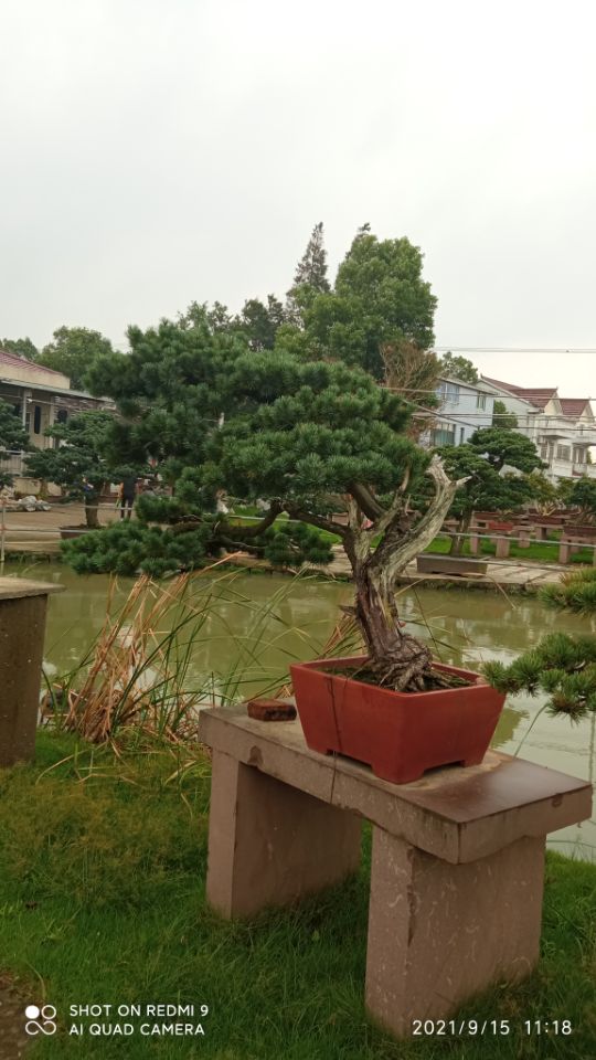 彩色防滑路面昌江县沙土固化剂生产基地